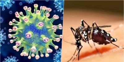 Entenda como diferenciar os sintomas de dengue e da covid-19  