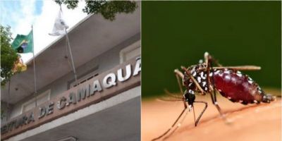 Mutirão de combate à dengue vai acontecer neste sábado (9) em Camaquã