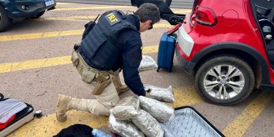 PRF prende mulher que trazia skunk do Uruguai em Eldorado do Sul