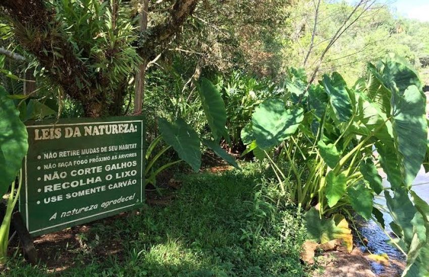 Cascata da Luciana em Dom Feliciano: paraíso particular aberto ao público 