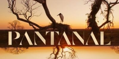 Leia o resumo dos últimos capítulos de Pantanal