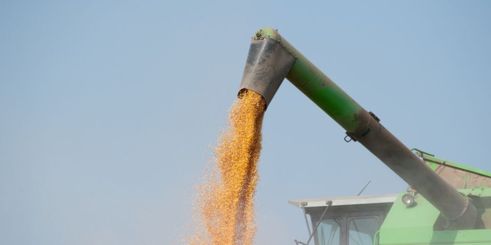 Conab prevê novo recorde na produção de grãos em 312,4 milhões de toneladas na safra 2022/23