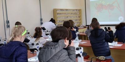 Estudantes de escola lourenciana participam de oficina sobre insetos na FURG SLS