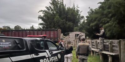 Polícia Civil recupera 29 animais bovinos em Rio Grande